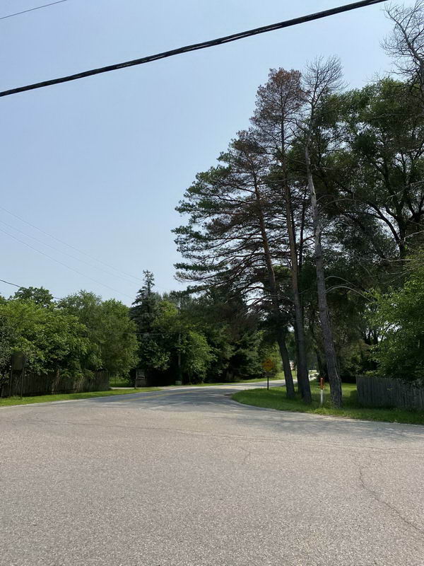 Unidilla - July 2021 Photos Of Unidilla (newer photo)